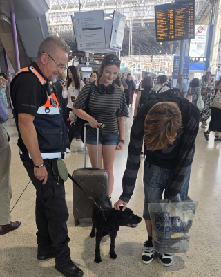 Illustration de l'article : Avant leur retraite, ces 3 chiens sont d&eacute;sormais charg&eacute;s de renforcer la s&eacute;curit&eacute; des voyageurs dans une gare particuli&egrave;rement fr&eacute;quent&eacute;e