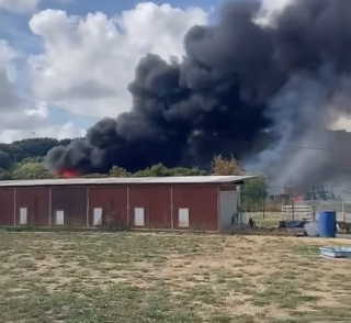 Illustration de l'article : Menac&eacute;s par un incendie puis une temp&ecirc;te, 60 chiens et 30 chiots sont sauv&eacute;s dans l'H&eacute;rault