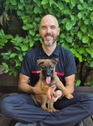 Illustration de l'article : À 2 mois et demi cette jeune Malinoise est recrutée par les pompiers du Vaucluse pour sauver des vies