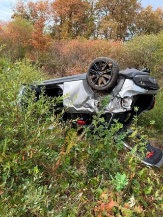 Illustration de l'article : Apr&egrave;s un accident dans le Loiret, une jeune Teckel dispara&icirc;t pendant 6 jours avant de retrouver sa famille saine et sauve