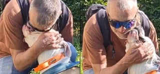 Illustration de l'article : Expuls&eacute;e puis ramen&eacute;e au refuge, cette chienne esp&egrave;re une seconde chance depuis 5 ans