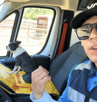 Illustration de l'article : En ouvrant son camion pour une livraison, ce livreur se retrouve face à un passager « accidentellement kidnappé » (vidéo)