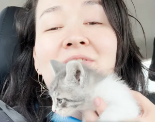 Illustration de l'article : Coinc&eacute; sur un bo&icirc;tier &eacute;lectrique, ce chaton terrifi&eacute; refuse de se laisser secourir