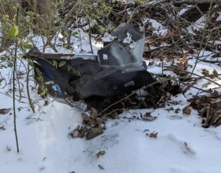 Illustration de l'article : Retrouv&eacute;e recouverte de glace et &agrave; peine visible sous la neige, cette minuscule chatte &eacute;caille de tortue doit sa survie &agrave; la chaleur des mains de son sauveur