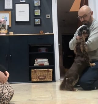 Illustration de l'article : Quand la porte s'ouvre et son nouveau petit fr&egrave;re appara&icirc;t, cette chienne ne tient plus en place (vid&eacute;o)