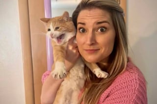 Illustration de l'article : Ce chat au "sourire" singulier provoque une vague de sympathie inattendue qui lui ouvre les portes d'une nouvelle vie