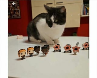 Illustration de l'article : 15 chats qui se sont pris pour les stars des petites annonces