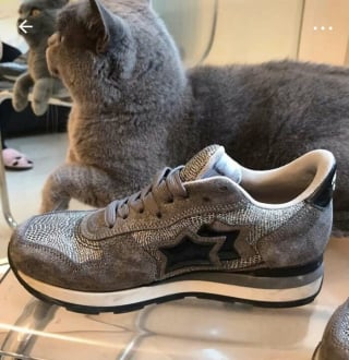 Illustration de l'article : 15 chats qui se sont pris pour les stars des petites annonces