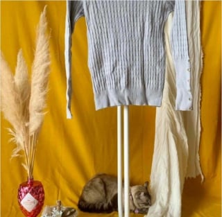 Illustration de l'article : 15 chats qui se sont pris pour les stars des petites annonces