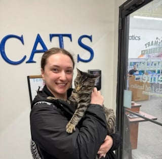 Illustration de l'article : Un chat abandonn&eacute; avec une note d&rsquo;excuse attendait patiemment qu&rsquo;une &acirc;me bienveillante lui tende la main