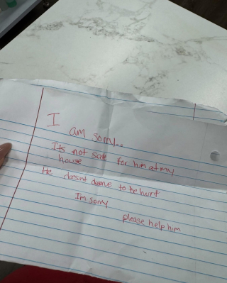 Illustration de l'article : Un chat abandonn&eacute; avec une note d&rsquo;excuse attendait patiemment qu&rsquo;une &acirc;me bienveillante lui tende la main