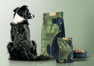 Illustration de l'article : Valyn, la nouvelle marque de croquettes pour chiens qui int&egrave;gre un QR code pour savoir avec pr&eacute;cision ce que vous donnez &agrave; votre compagnon