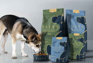 Illustration de l'article : Valyn, la nouvelle marque de croquettes pour chiens qui int&egrave;gre un QR code pour savoir avec pr&eacute;cision ce que vous donnez &agrave; votre compagnon