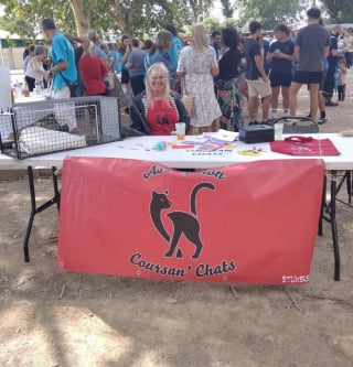 Illustration de l'article : Un chat dispara&icirc;t lors d'un d&eacute;m&eacute;nagement, une campagne de st&eacute;rilisation effectu&eacute;e 2 ans plus tard permet des retrouvailles inattendues