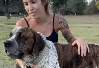 Illustration de l'article : Les retrouvailles &eacute;mouvantes de ces 2 fr&egrave;res canins abandonn&eacute;s et destin&eacute;s &agrave; l&rsquo;euthanasie