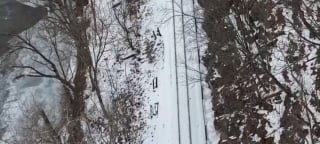 Illustration de l'article : &laquo; J'ai cru l'avoir perdu &agrave; jamais &raquo;, un chien s&eacute;nior dispara&icirc;t en glissant le long d'une falaise et d&eacute;clenche une mobilisation exceptionnelle