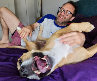 Illustration de l'article : &laquo; On ne peut pas imaginer une journ&eacute;e sans lui &raquo;, ce chien autrefois maltrait&eacute; est aujourd&rsquo;hui le pilier irrempla&ccedil;able de sa nouvelle famille