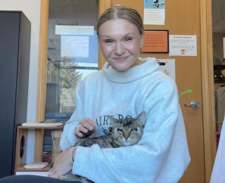 Illustration de l'article : Ignor&eacute; pendant 500 jours &agrave; cause de sa diff&eacute;rence, ce chat rencontre une femme qui regarde au-del&agrave; des apparences et change sa vie