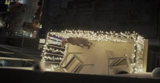 Illustration de l'article : Un voisin filme en silence un chien maltrait&eacute; sur un balcon en esp&eacute;rant que sa vid&eacute;o le sauve