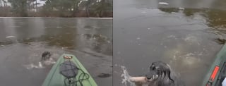 Illustration de l'article : Un chien tomb&eacute; dans un &eacute;tang gel&eacute; voit un adolescent s'approcher en kayak, ses lunettes connect&eacute;es filment le sauvetage (vid&eacute;o)