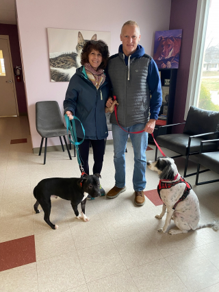 Illustration de l'article : &laquo; Totalement asocial et sauvage &raquo;, un chiot sauv&eacute; d&rsquo;une maison insalubre apprend &agrave; se comporter comme un chien pour conna&icirc;tre enfin le bonheur