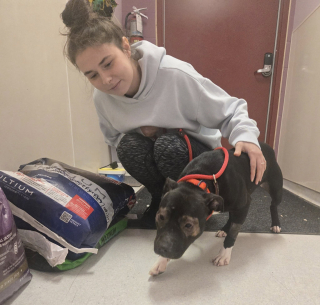 Illustration de l'article : &laquo; Totalement asocial et sauvage &raquo;, un chiot sauv&eacute; d&rsquo;une maison insalubre apprend &agrave; se comporter comme un chien pour conna&icirc;tre enfin le bonheur