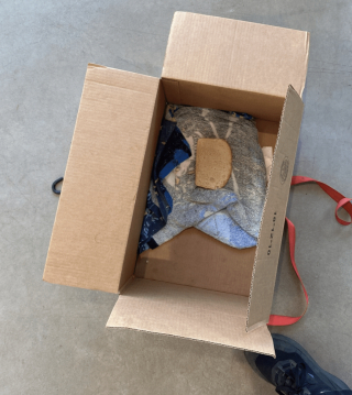 Illustration de l'article : Abandonn&eacute; dans une bo&icirc;te en carton scell&eacute;e avec une tranche de pain comme seul repas, ce chiot peut d&eacute;sormais d&eacute;couvrir la libert&eacute;