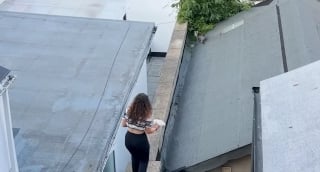Illustration de l'article : &laquo; J&rsquo;ai d&eacute;cid&eacute; de monter sur le toit &raquo;, une femme brave le vide pour gagner la confiance d&rsquo;une chatte errante terrifi&eacute;e (vid&eacute;o)
