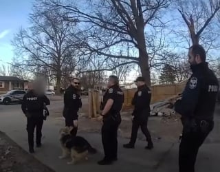 Illustration de l'article : « Allons le chercher », ce chien agit en héros en guidant un policier vers un garçon de 3 ans disparu (vidéo)