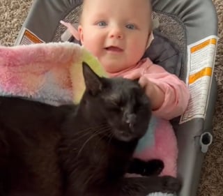 Illustration de l'article : Heureuse d'avoir &eacute;t&eacute; choisie au refuge, cette chatte noire remercie ses adoptants et noue une relation unique avec leur b&eacute;b&eacute; (vid&eacute;o)