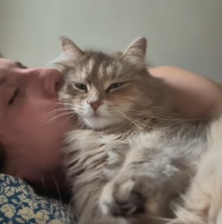 Illustration de l'article : &laquo; Elle arrive toujours au bon moment &raquo;, cette chatte r&eacute;conforte silencieusement sa ma&icirc;tresse lors des coups de blues (vid&eacute;o)