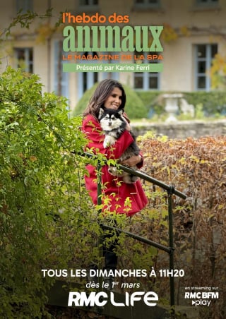 Illustration de l'article : La SPA pr&eacute;sente &laquo; L&rsquo;Hebdo des animaux &raquo;, sa nouvelle &eacute;mission de t&eacute;l&eacute;vision hebdomadaire d&eacute;di&eacute;e aux animaux qui d&eacute;marrera le 1er mars sur RMC Life