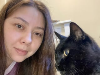 Illustration de l'article : &laquo; J&rsquo;&eacute;tais sous le choc &raquo;, la propri&eacute;taire d&eacute;sesp&eacute;r&eacute;e d&rsquo;un chat disparu depuis 6 ans re&ccedil;oit la nouvelle qu&rsquo;elle esp&eacute;rait secr&egrave;tement avec joie et soulagement