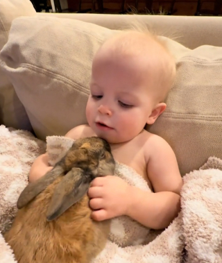 Illustration de l'article : &laquo; Les lapins ne font pas &ccedil;a avec n&rsquo;importe qui &raquo;, blotti contre son ami lapin, ce b&eacute;b&eacute; savoure un moment de tendresse