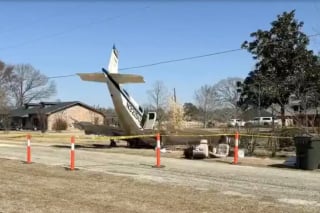 Illustration de l'article : Seul survivant d'un crash d'avion, ce chien endeuillé est secouru par des riverains bouleversés par son sort