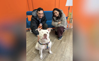 Illustration de l'article : Ignor&eacute;e pendant des mois &agrave; cause de la perte d&rsquo;un &oelig;il, cette chienne surmonte tous les obstacles pour conna&icirc;tre enfin le bonheur (vid&eacute;o)