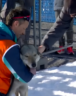 Illustration de l'article : En pleine épreuve olympique de ski de fond, un chien surgit sur la piste et se met à courir derrière 2 athlètes (vidéo)