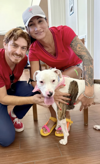 Illustration de l'article : &laquo; Elle &eacute;tait tellement ravie de partir &raquo;, la joie d'une chienne sourde quittant le refuge avec ses adoptants