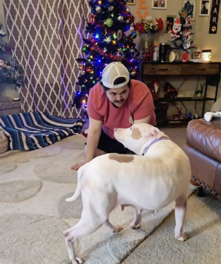 Illustration de l'article : &laquo; Ce fut un moment important &raquo;, apr&egrave;s plusieurs mois en famille d&rsquo;accueil, cette chienne timide vit son premier v&eacute;ritable coup de folie (vid&eacute;o)