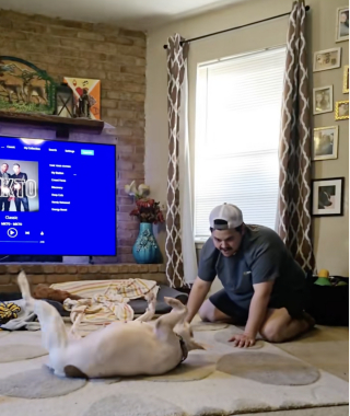 Illustration de l'article : &laquo; Ce fut un moment important &raquo;, apr&egrave;s plusieurs mois en famille d&rsquo;accueil, cette chienne timide vit son premier v&eacute;ritable coup de folie (vid&eacute;o)