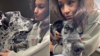 Illustration de l'article : « J'ai l'impression que tous les humains vont m'abandonner », des années après son adoption, un chien traumatisé refuse encore de sortir de la voiture (vidéo)