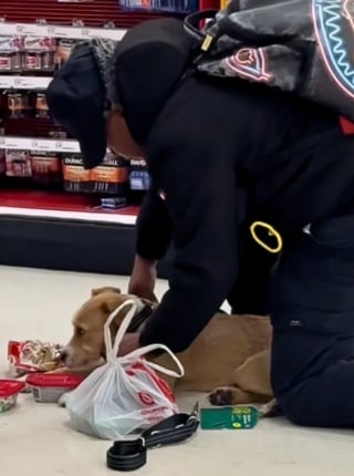 Illustration de l'article : &laquo; C'&eacute;tait un moment tellement adorable et inattendu &raquo;, un chien errant entre pour se r&eacute;chauffer&hellip; et trouve une famille (video)