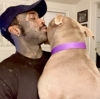 Illustration de l'article : Triste d'être séparée de sa famille expulsée, cette chienne demande un câlin réconfortant à son bienfaiteur (vidéo)