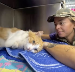 Illustration de l'article : &laquo; La meilleure d&eacute;cision spontan&eacute;e &raquo;, cette auxiliaire v&eacute;t&eacute;rinaire rencontre un chat aux pattes d&eacute;form&eacute;es au refuge et l'adopte imm&eacute;diatement (vid&eacute;o)