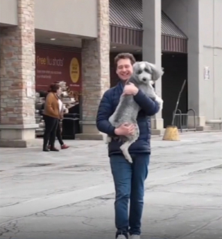 Illustration de l'article : Enlev&eacute; par une inconnue devant la garderie des enfants de ses ma&icirc;tres, ce chien est rendu &agrave; sa famille contre une r&eacute;compense