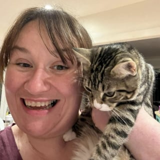 Illustration de l'article : Abandonnée dans un train, une jeune chatte conquiert le coeur d'une contrôleuse qui décide de l'adopter