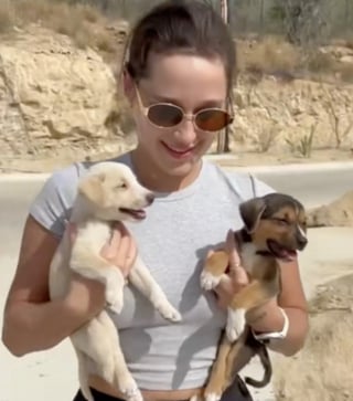 Illustration de l'article : Découverts blottis l'un contre l'autre dans le désert, ces 2 petits chiens errants sont mis en sécurité (vidéo)