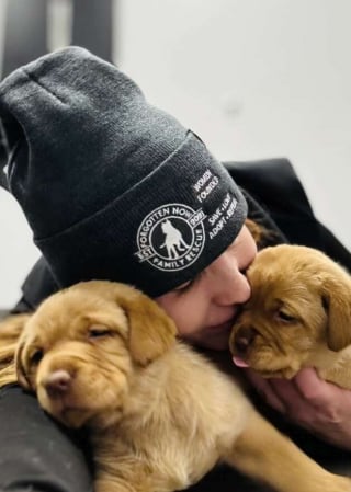 Illustration de l'article : « Elles ne valent rien pour l’éleveur », rejetés à cause d'une anomalie de locomotion, ces chiots font leurs premiers pas vers l'espoir (vidéo)