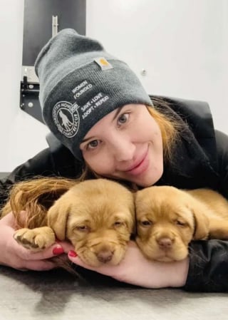 Illustration de l'article : « Elles ne valent rien pour l’éleveur », rejetés à cause d'une anomalie de locomotion, ces chiots font leurs premiers pas vers l'espoir (vidéo)