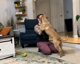 Illustration de l'article : Sauv&eacute; in extremis de l'euthanasie, ce chien ne perd pas de temps et devient imm&eacute;diatement la star de sa famille d'accueil (vid&eacute;o)